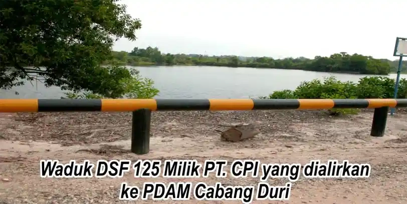 Pdam2